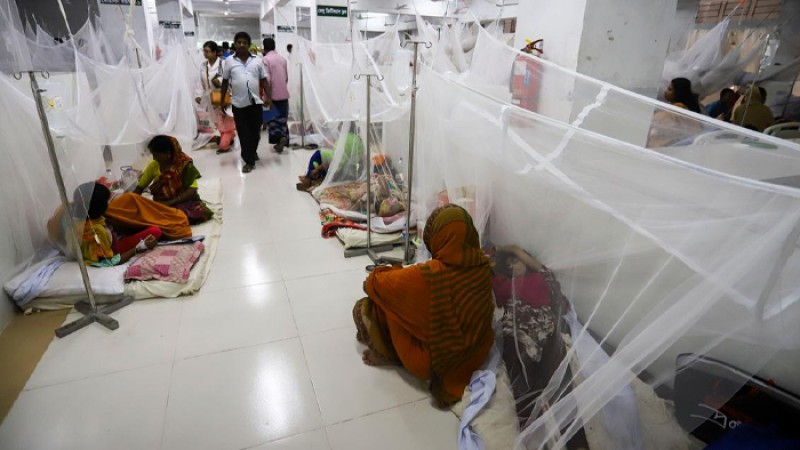 ডেঙ্গু আক্রান্ত হয়ে হাসপাতালে আরও ৫২৪ জন