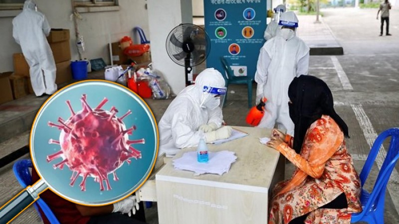 করোনায় মৃত্যু নেই, শনাক্ত ৫১