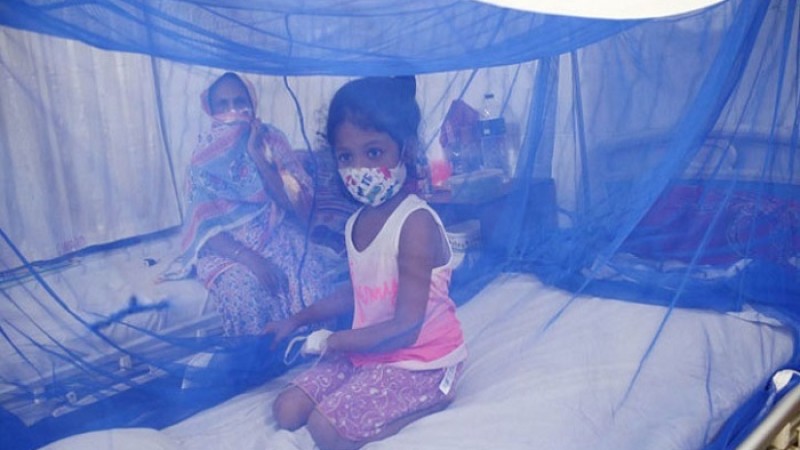 ডেঙ্গুতে আরও ২ জনের মৃত্যু