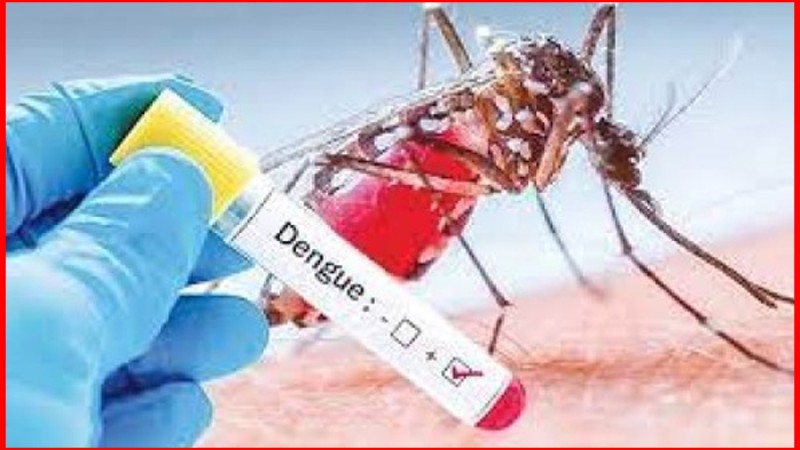 হাসপাতালে আরও ৩১ ডেঙ্গু রোগী ভর্তি
