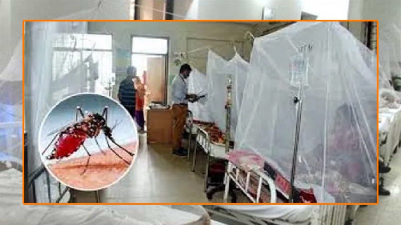 ডেঙ্গুতে ৩ জনের মৃত্যু, হাসপাতালে আরও ২০৮