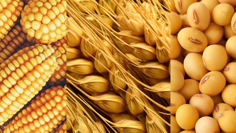 পণ্যবাজার ঊর্ধ্বমুখী থাকবে ২০২৩ সালেও