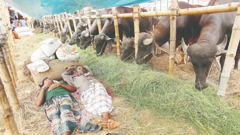 প্রস্তুতি শেষ, অপেক্ষা ক্রেতার