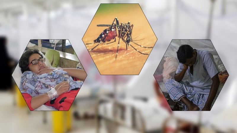 ডেঙ্গুর দাপট থাকবে কমবে অক্টোবরে