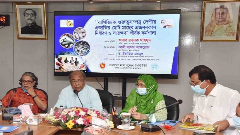 দেশের মৎস্য খাতের প্রবৃদ্ধি অভাবনীয় : মৎস্য ও প্রাণিসম্পদ সচিব