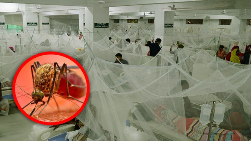 ডেঙ্গু আক্রান্ত হয়ে আরও ১৯৮ জন হাসপাতালে