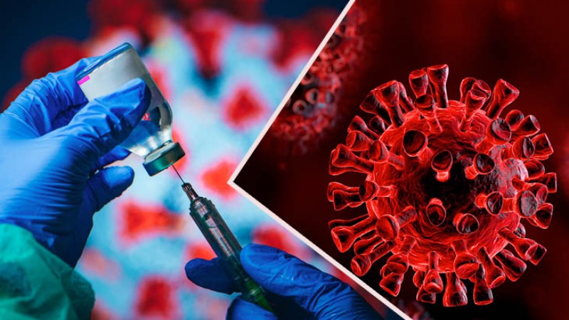 করোনা: সংক্রমণ ও মৃত্যুর গ্রাফ নিম্নমুখী