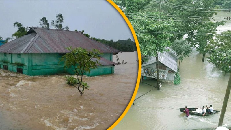 দেশে বন্যায় মৃত্যু বেড়ে ৮২: স্বাস্থ্য অধিদপ্তর