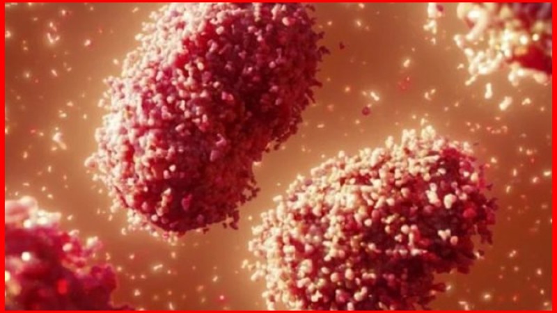 আমিরাতসহ ১৮ দেশে মাঙ্কিপক্স শনাক্ত