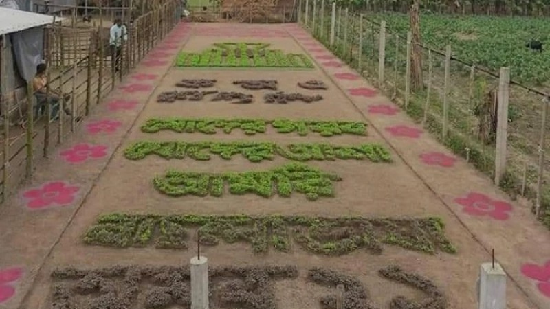 কিশোরগঞ্জে ফসলের মাঠে কৃষকের প্রাণের শহীদ মিনার