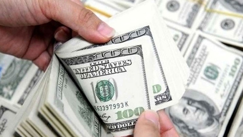 ১ ডলার‍ সমান ২৩৩ পাকিস্তানি রুপি