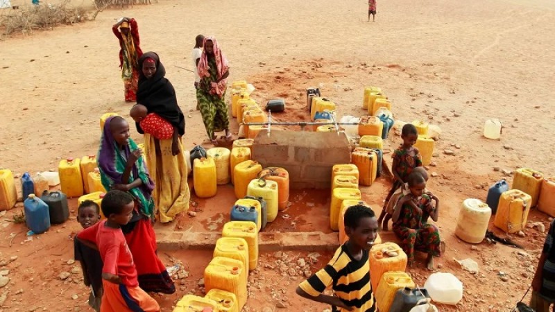 তীব্র খাদ্য সংকটের মুখে বিশ্ব ফের রেকর্ড মূল্যবৃদ্ধির শঙ্কা