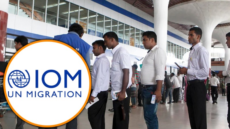 আন্তর্জাতিক অভিবাসন সংস্থায় চাকরি