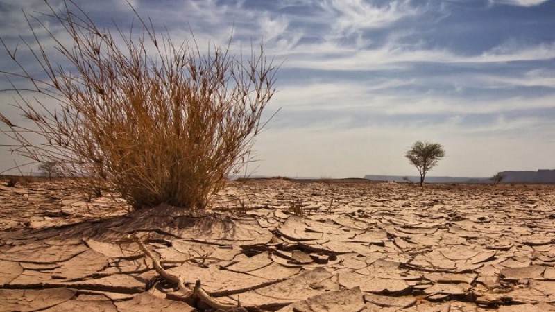 জলবায়ু পরিবর্তন: বিপর্যয়ের শঙ্কায় পর্যটনকেন্দ্রগুলো
