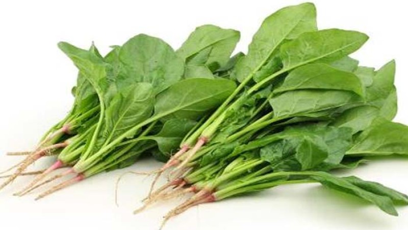 পালং শাকের উপকারিতা