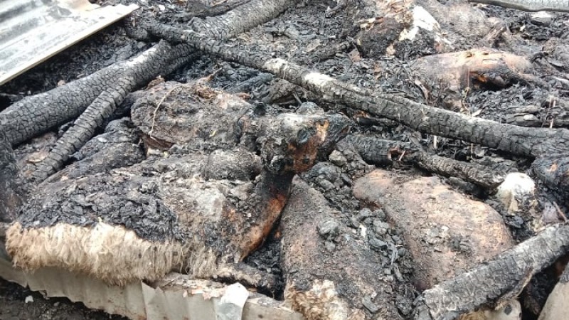 নোয়াখালীতে দুর্বৃত্তদের আগুনে পুড়ল ৩২ ভেড়া
