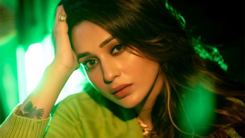 হিন্দি ছবিতে পা রাখছেন অভিনেত্রী মিমি