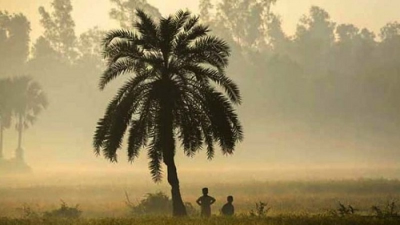 আগামী চারদিন বাড়তে পারে তাপমাত্রা