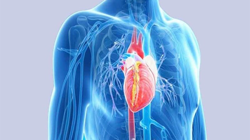 হার্ট অ্যাটাকের আগাম লক্ষণগুলো জেনে নিন