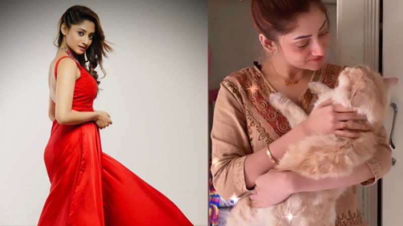 লাইভে এসে কান্নায় ভেঙে পড়লেন পূজা