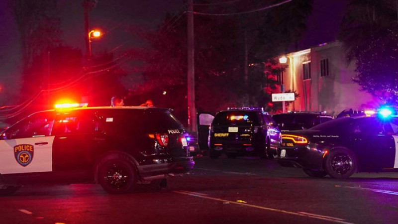 গুলি করে তিন সন্তানকে হত্যার পর বাবার আত্মহত্যা!