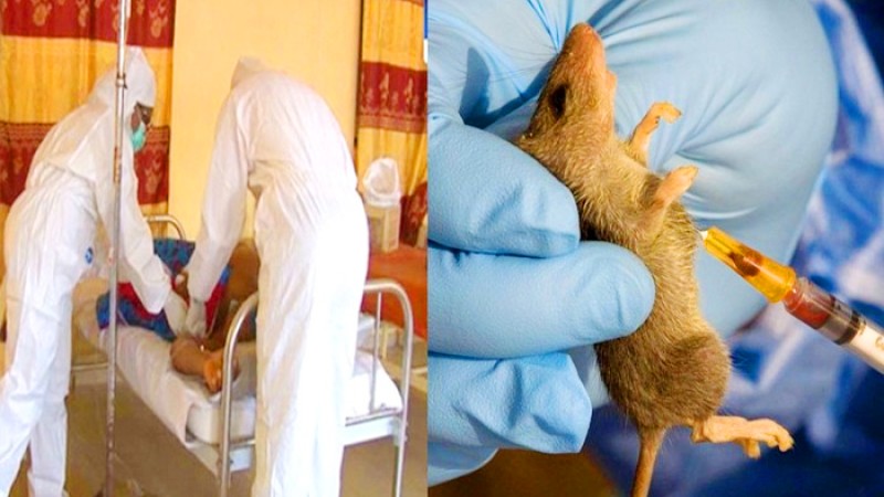 করোনার মধ্যেই ভয়ংকর ‘লাসা’ ভাইরাসের হানা!