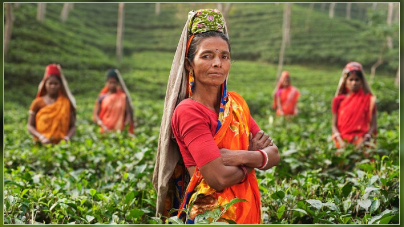 চা শ্রমিকদের সঙ্গে বৈঠক করবেন প্রধানমন্ত্রী