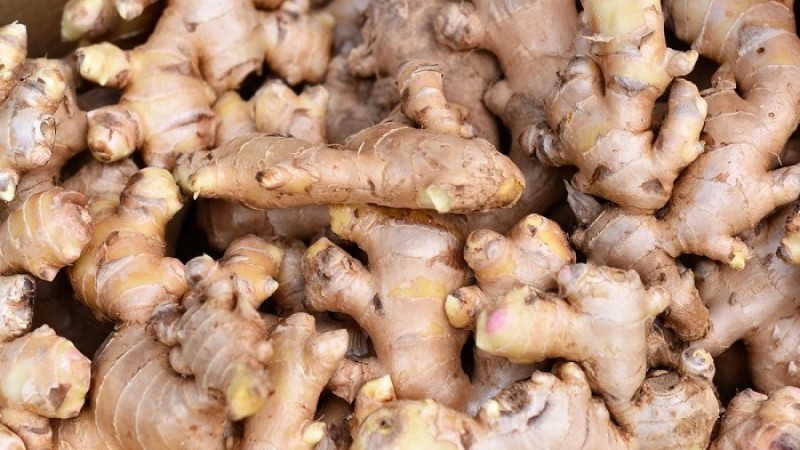 দেশের বাজারে আদা রসুনের দামে উল্লম্ফন