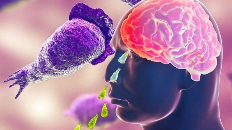 মগজ খেকো অ্যামিবার সংক্রমণে দ.কোরিয়ায় প্রথম মৃত্যু