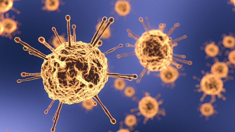 খুলনার ৪ হাসপাতালে ১৬ মৃত্যু