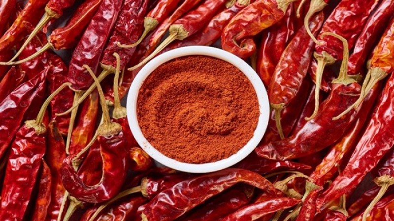 শুকনো মরিচের দাম কেজিতে ১০০ টাকা কমেছে