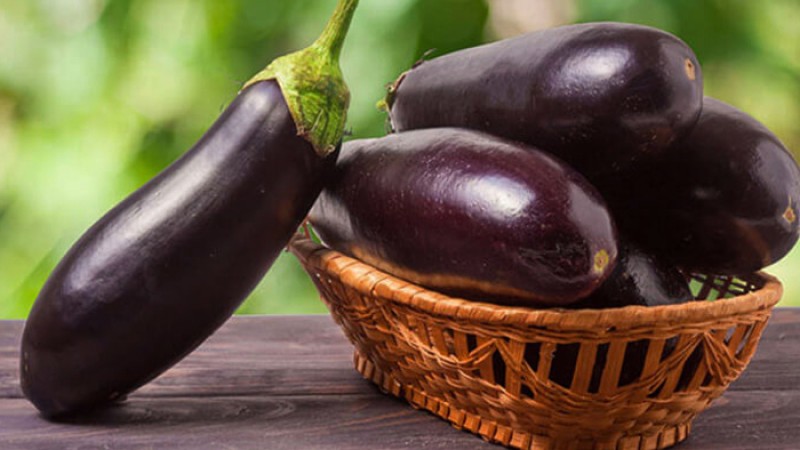 বেগুনের উপকারিতা ও পুষ্ঠিগুণ