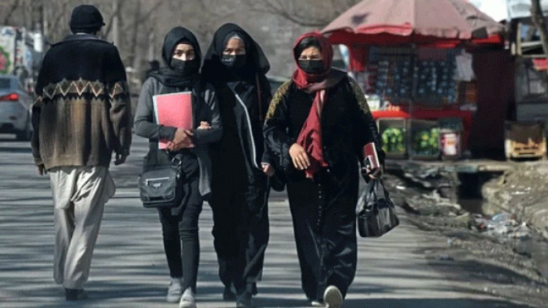 আফগান বিশ্ববিদ্যালয়ে নিষিদ্ধ নারী শিক্ষা, যা বলল সৌদি আরব-তুরস্ক