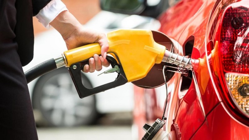 ইউরোপে আফ্রিকার জ্বালানি চাহিদা বাড়াচ্ছে ইউক্রেন যুদ্ধ