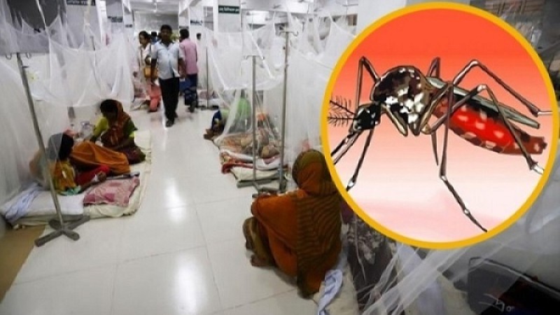 ডেঙ্গুতে ২ জনের মৃত্যু, হাসপাতালে ৯২৩