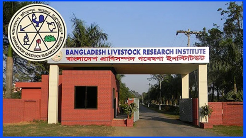 একাধিক পদে প্রাণিসম্পদ গবেষণা ইনস্টিটিউটে জনবল নিয়োগ