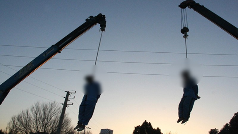 ১২ বালুচকে ফাঁসিতে ঝোলাল ইরান