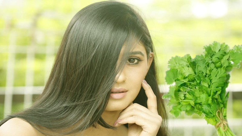 চুলের যত্নে ধনেপাতা