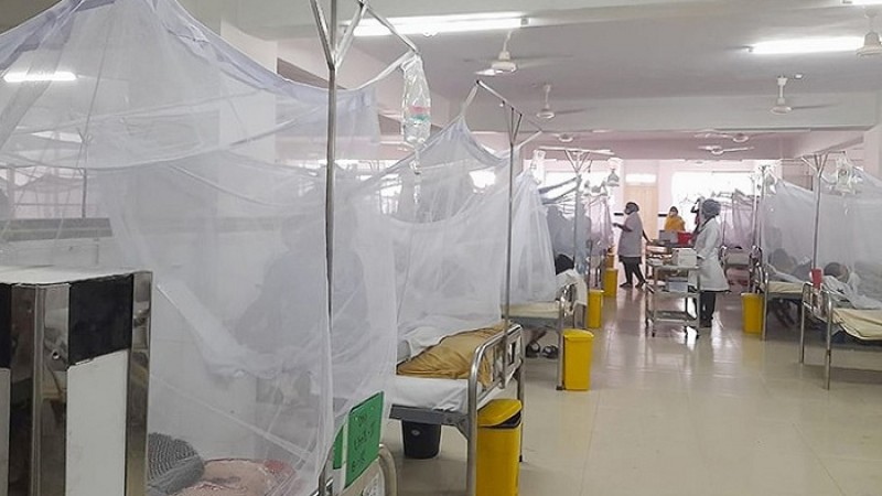 ডেঙ্গুতে ২ জনের মৃত্যু, হাসপাতালে নতুন ৫১ রোগী