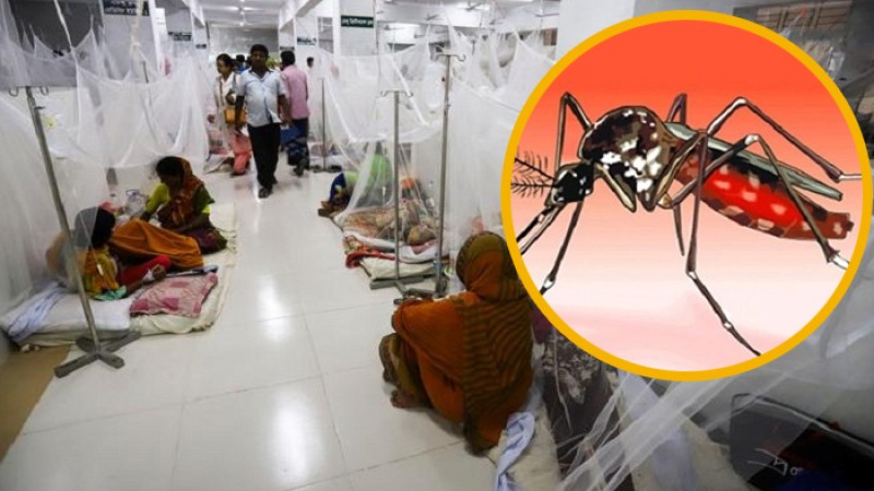 একদিনে আরও ১৯৪ ডেঙ্গু রোগী হাসপাতালে ভর্তি