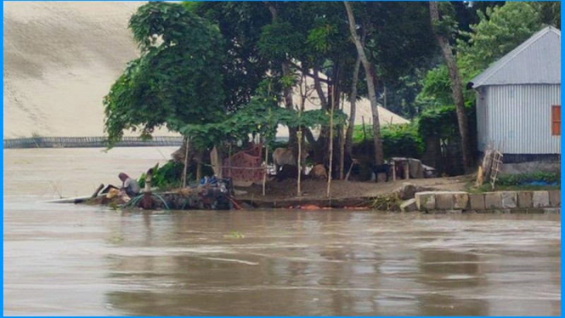 রাজবাড়ীতে পদ্মার পানি বৃদ্ধি, ৩০ হাজার মানুষ পানিবন্দি