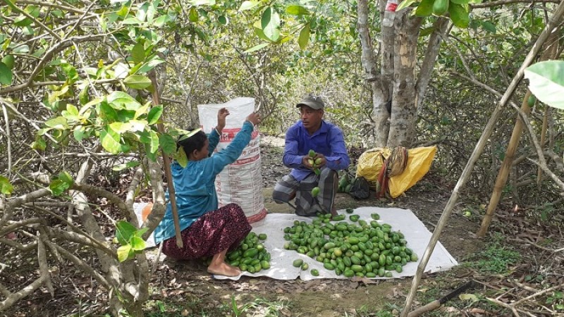 জীবন যুদ্ধে হার না মানা মিরসরাইয়ের দীপক ত্রিপুরা