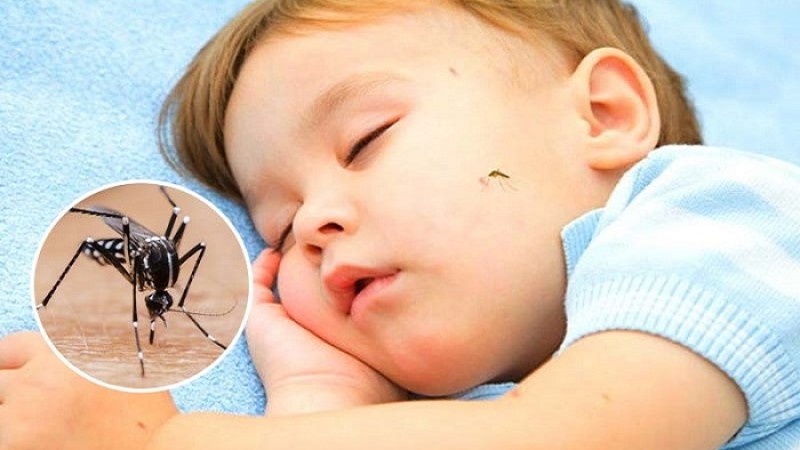 মশার কামড়ে চুলকানি? জেনে নিন দূর করার ঘরোয়া উপায়