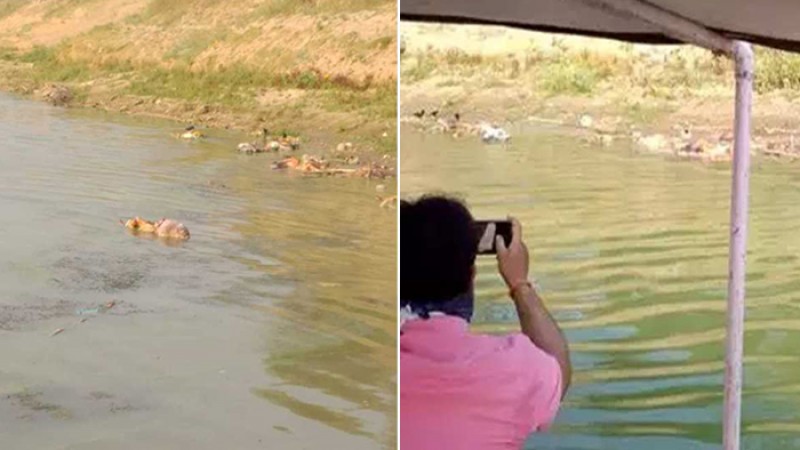 ভারতে বিহার-উত্তরপ্রদেশের পর মধ্যপ্রদেশেও ভেসে আসছে লাশ