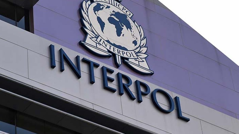 ইন্টারপোল চিহ্নিত ২০৭ বাংলাদেশি চোখে চোখে