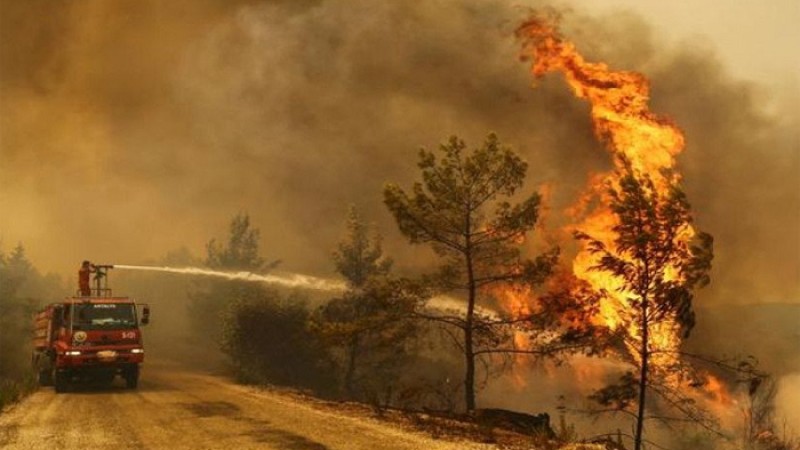 দাবানলের প্রচণ্ড তাপে ইউরোপে মৃত্যু শতাধিক