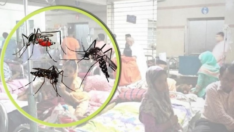 হাসপাতালে আরও ২১১ ডেঙ্গু রোগী ভর্তি