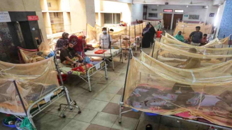 ডেঙ্গুতে আরও ২ জনের মৃত্যু, শনাক্ত ১৬৪