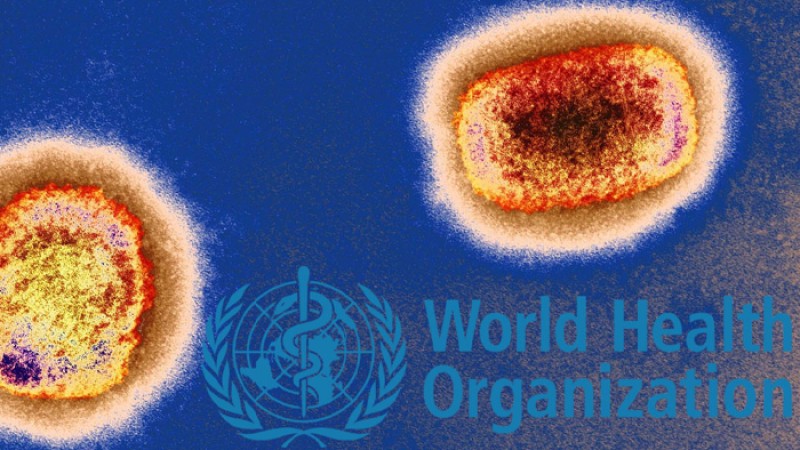 সমকামিতার সঙ্গে কি সত্যিই সম্পর্ক রয়েছে মাঙ্কিপক্সের?