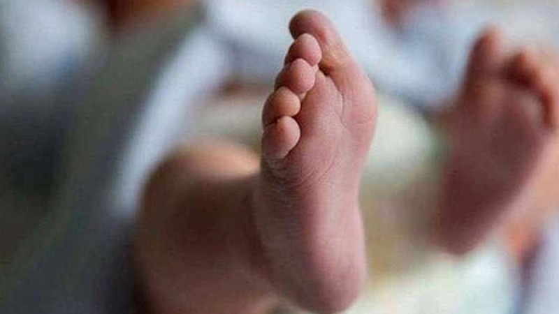 ডাস্টবিন থেকে নবজাতকের মরদেহ উদ্ধার